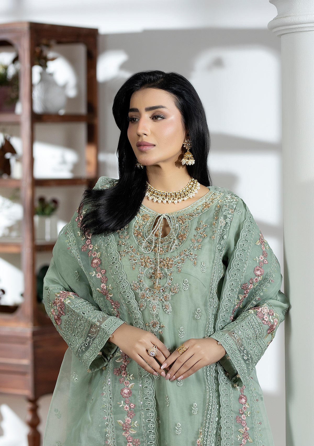 Embroidered Organza BT006615-PST