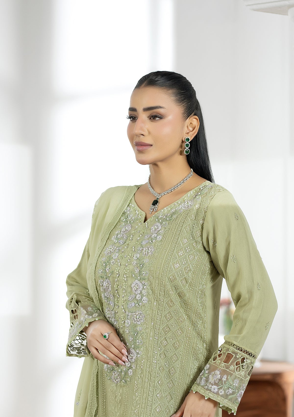 Embroidered Chiffon BT006602-PST