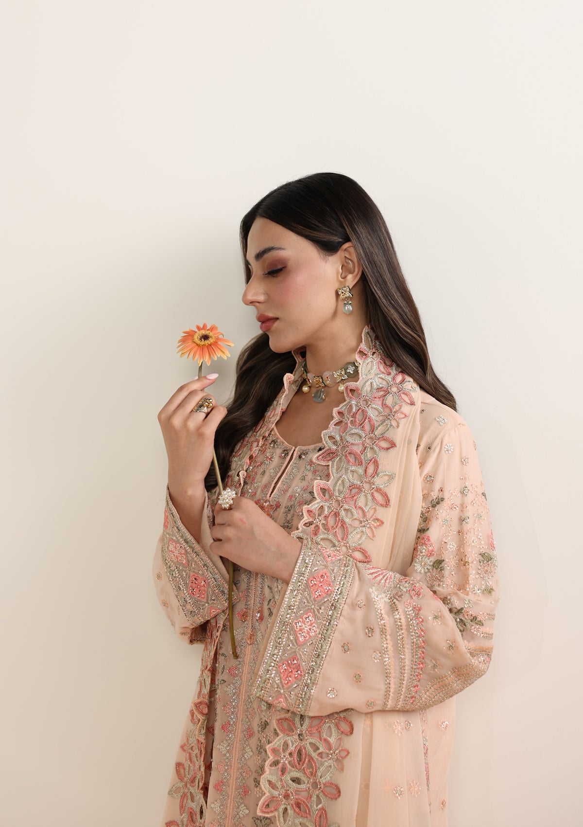 Embroidered Chiffon BT006678-PCH