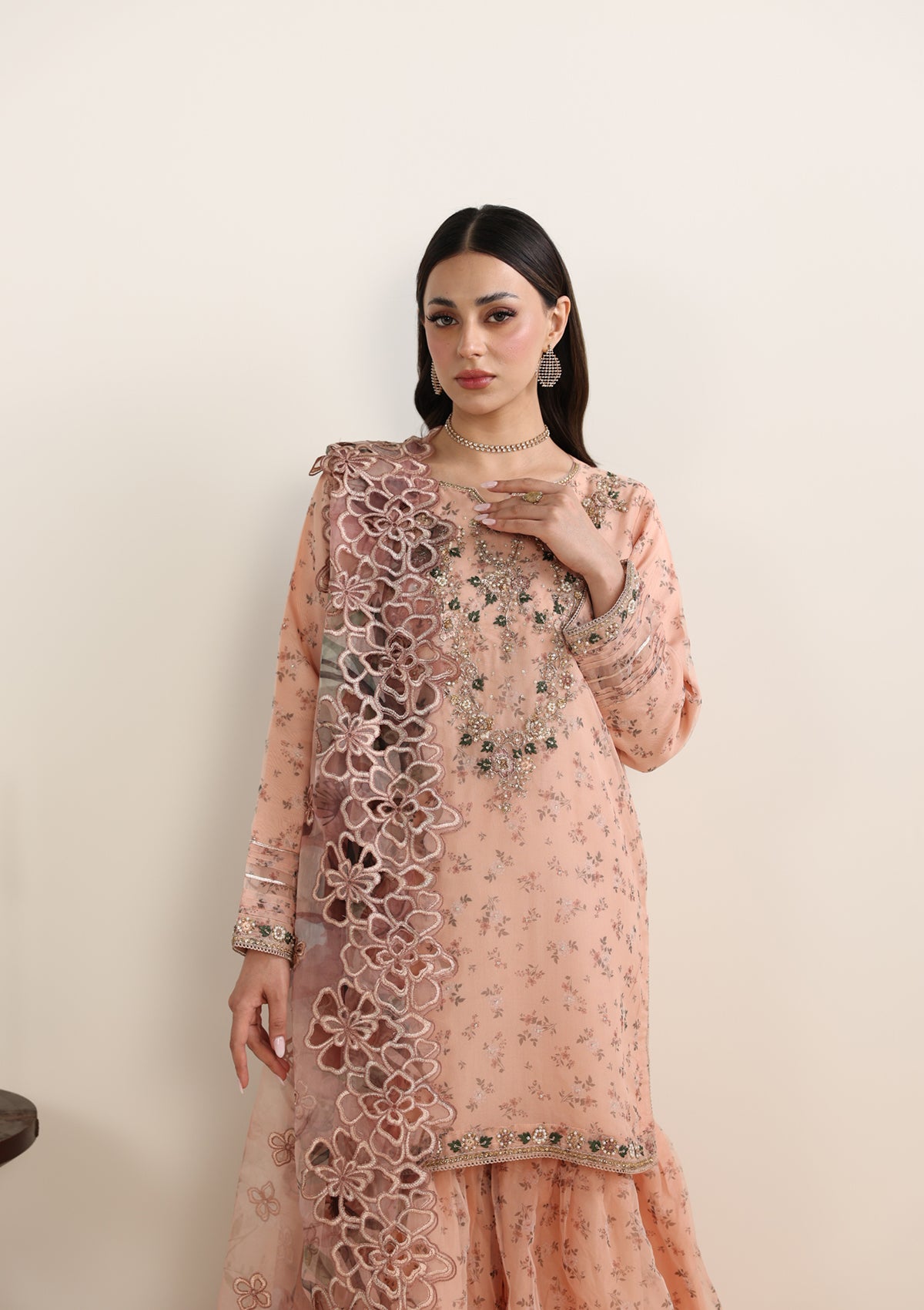 Embroidered Organza BT006675-PCH