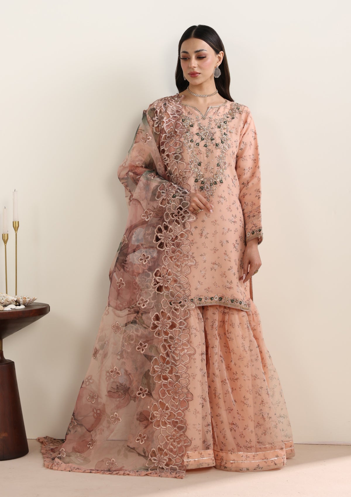 Embroidered Organza BT006675-PCH