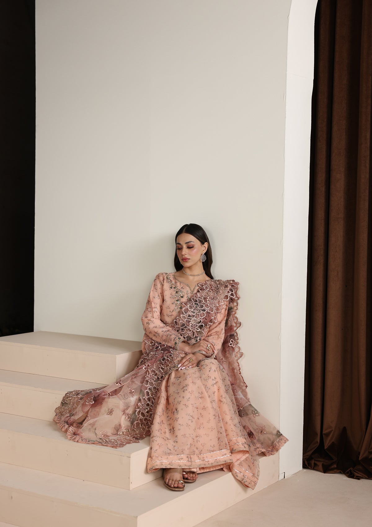 Embroidered Organza BT006675-PCH