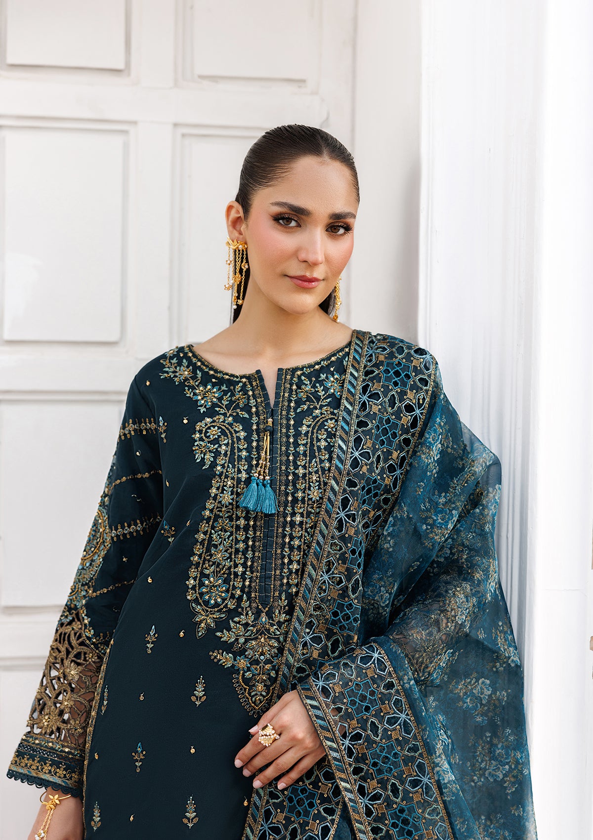 LUXURY Embroidered organza BT006824-DPG