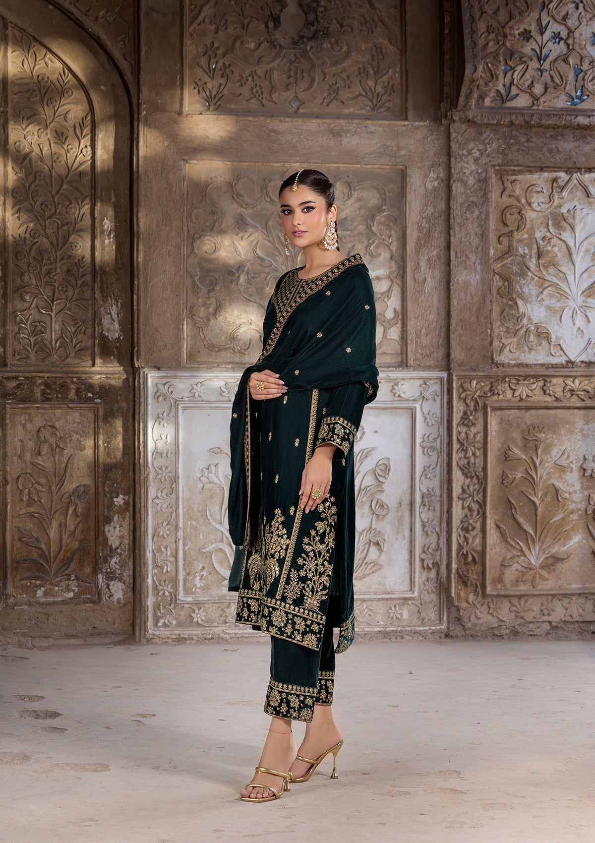 Embroidered Velvet BT6529-CGN