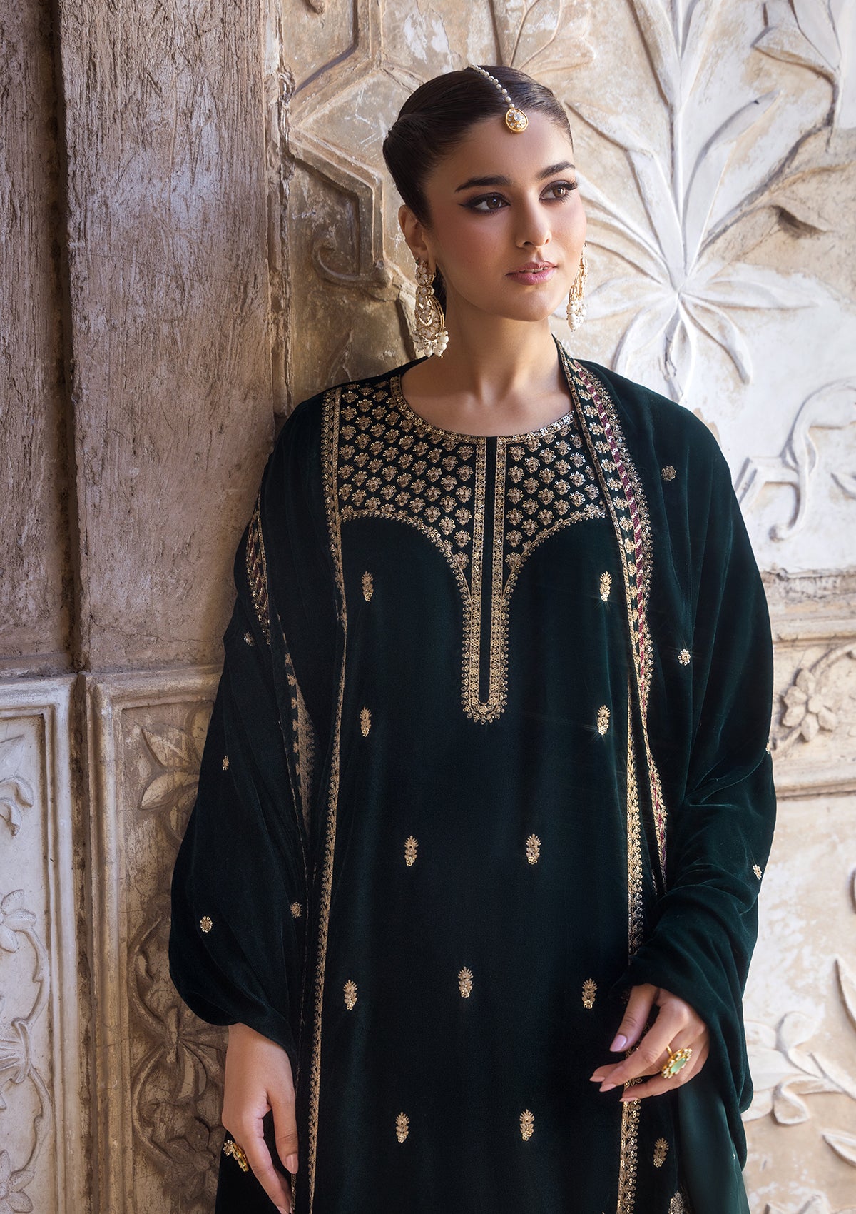 Embroidered Velvet BT6529-CGN