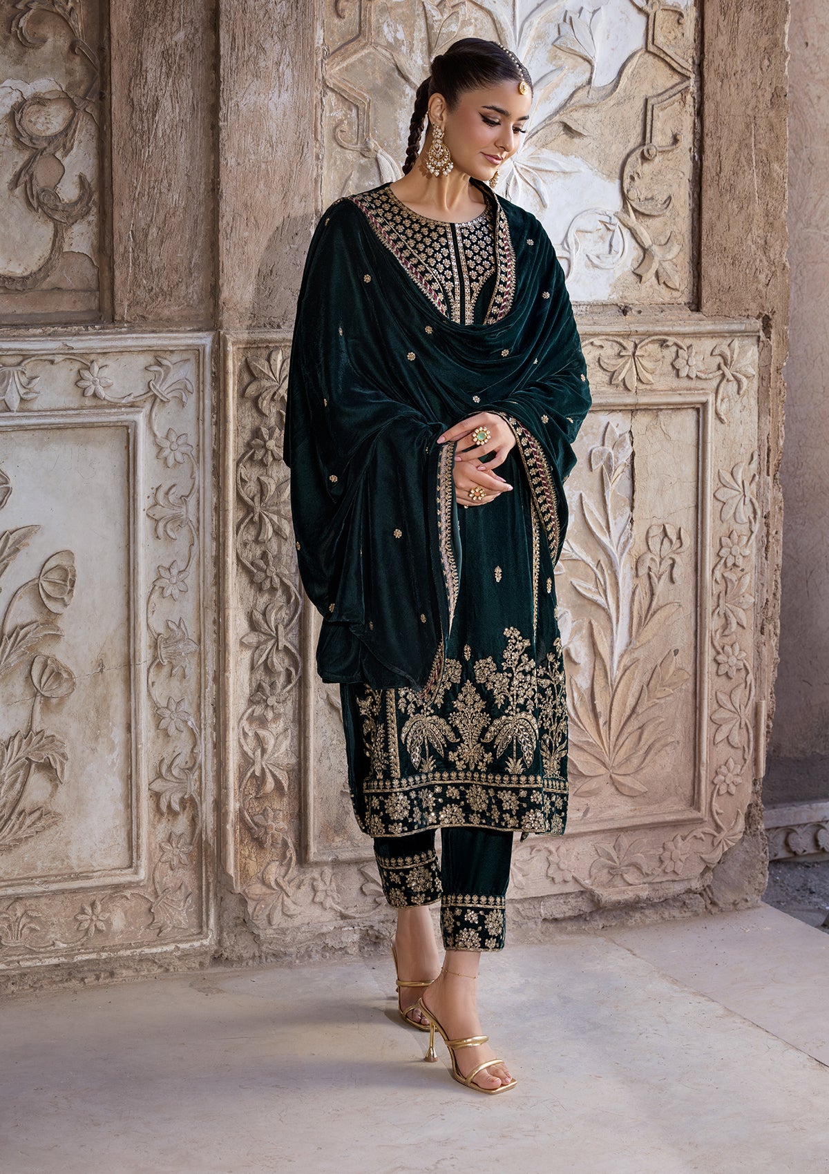 Embroidered Velvet BT6529-CGN