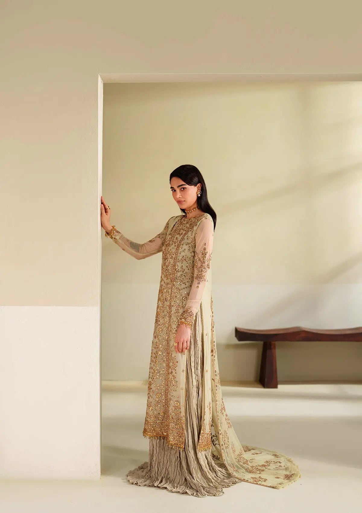 Embroidered Net BT6542-CRM Bin Tayyab