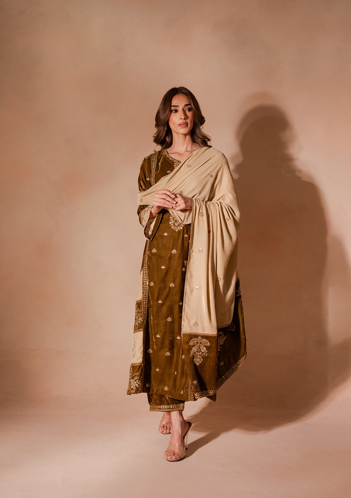 Embroidered Velvet BT007025-BRW