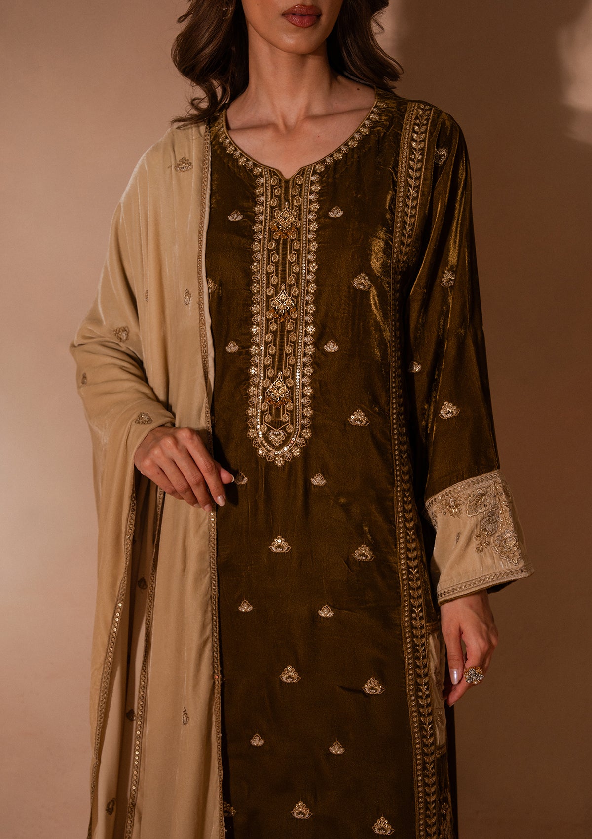 Embroidered Velvet BT007025-BRW