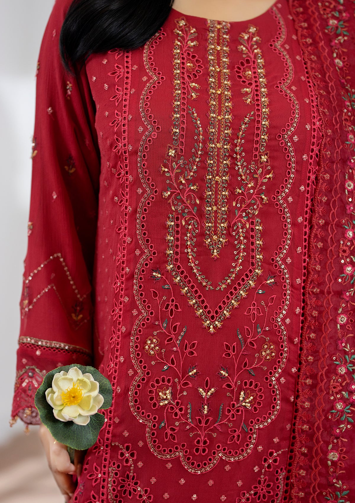 Embroidered Chiffon BT006603-RED