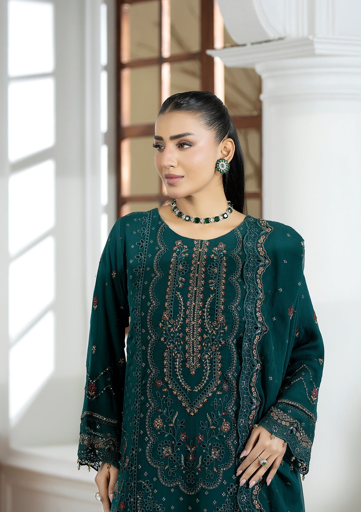 Embroidered Chiffon BT006603-SGN