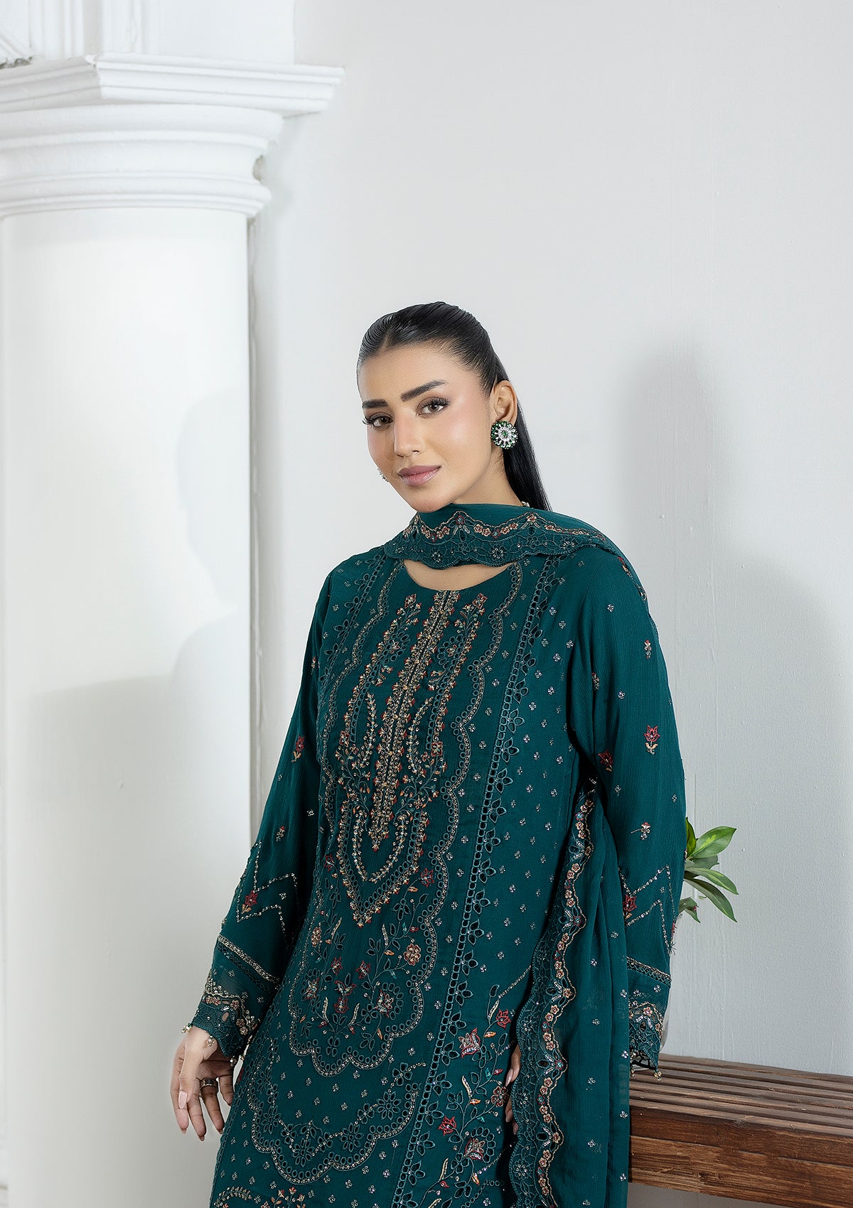 Embroidered Chiffon BT006603-SGN