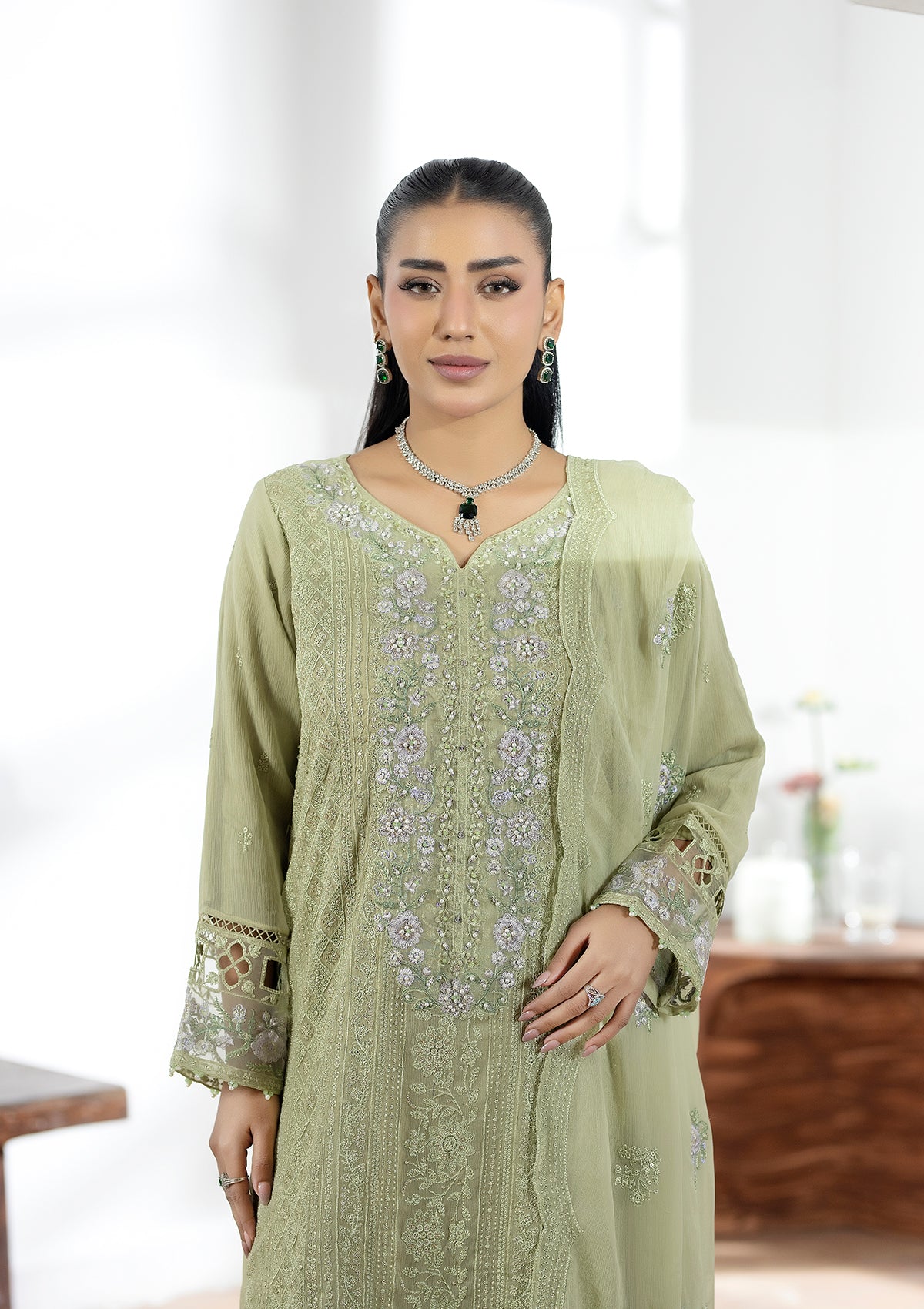 Embroidered Chiffon BT006602-PST