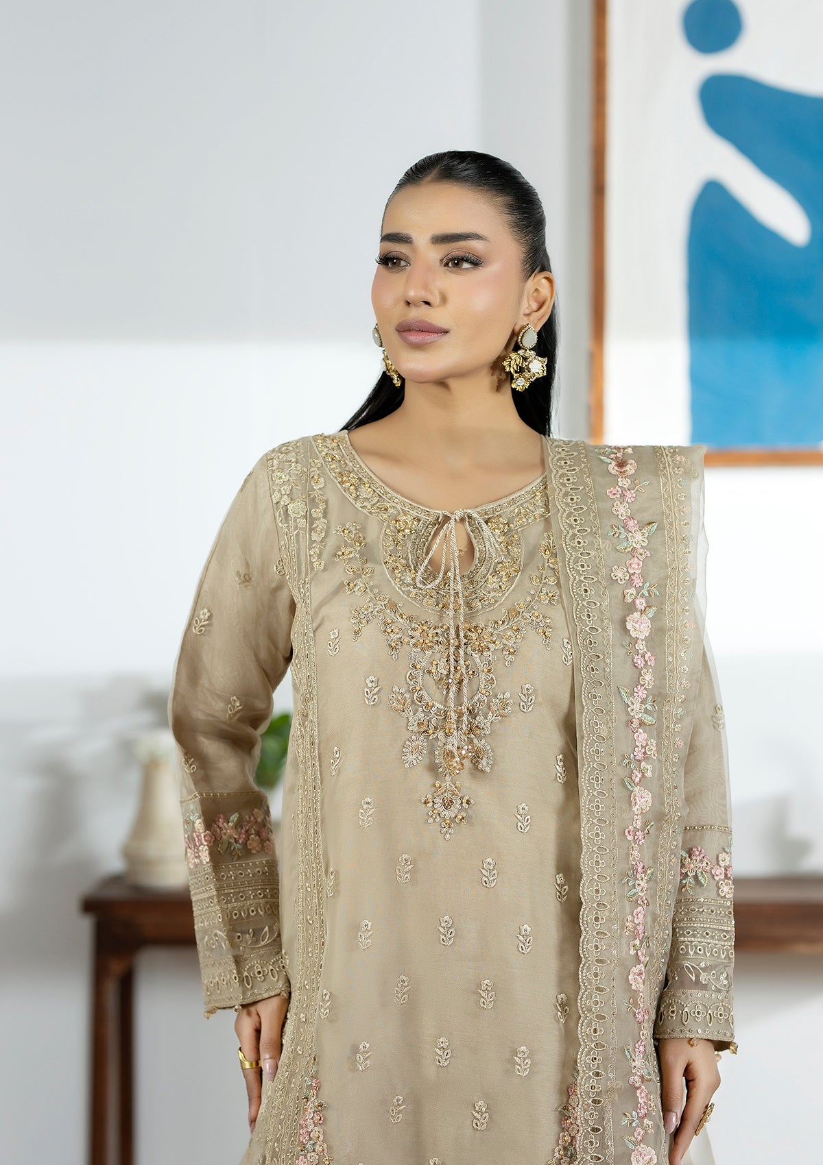 Embroidered Organza BT006615-LBR