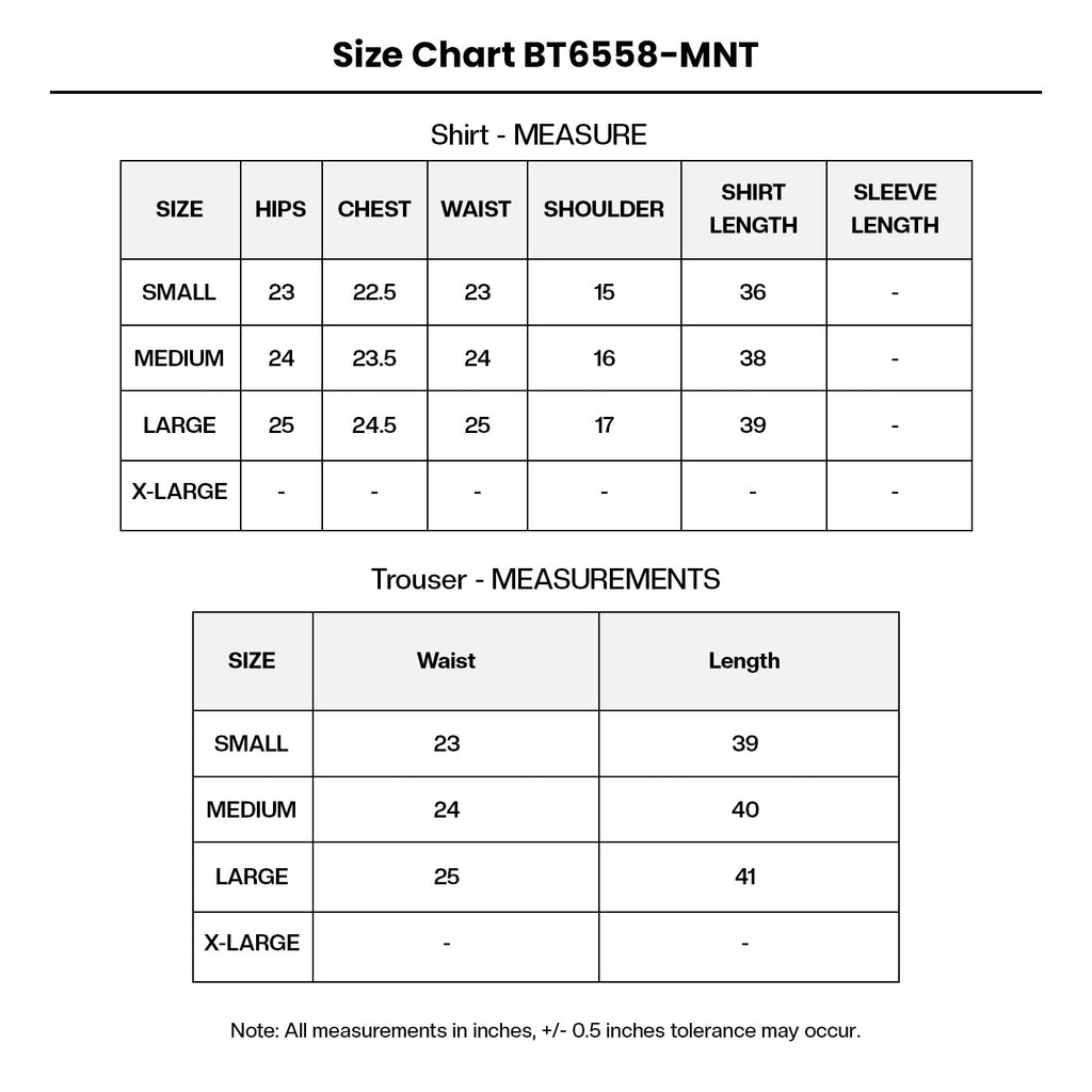 Embroidered Organza BT6558-MNT Size Chart