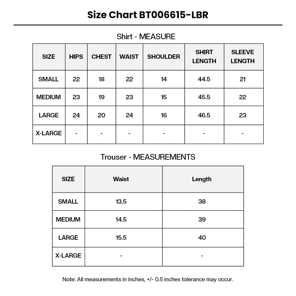 Embroidered Organza BT006615-LBR Size Chart