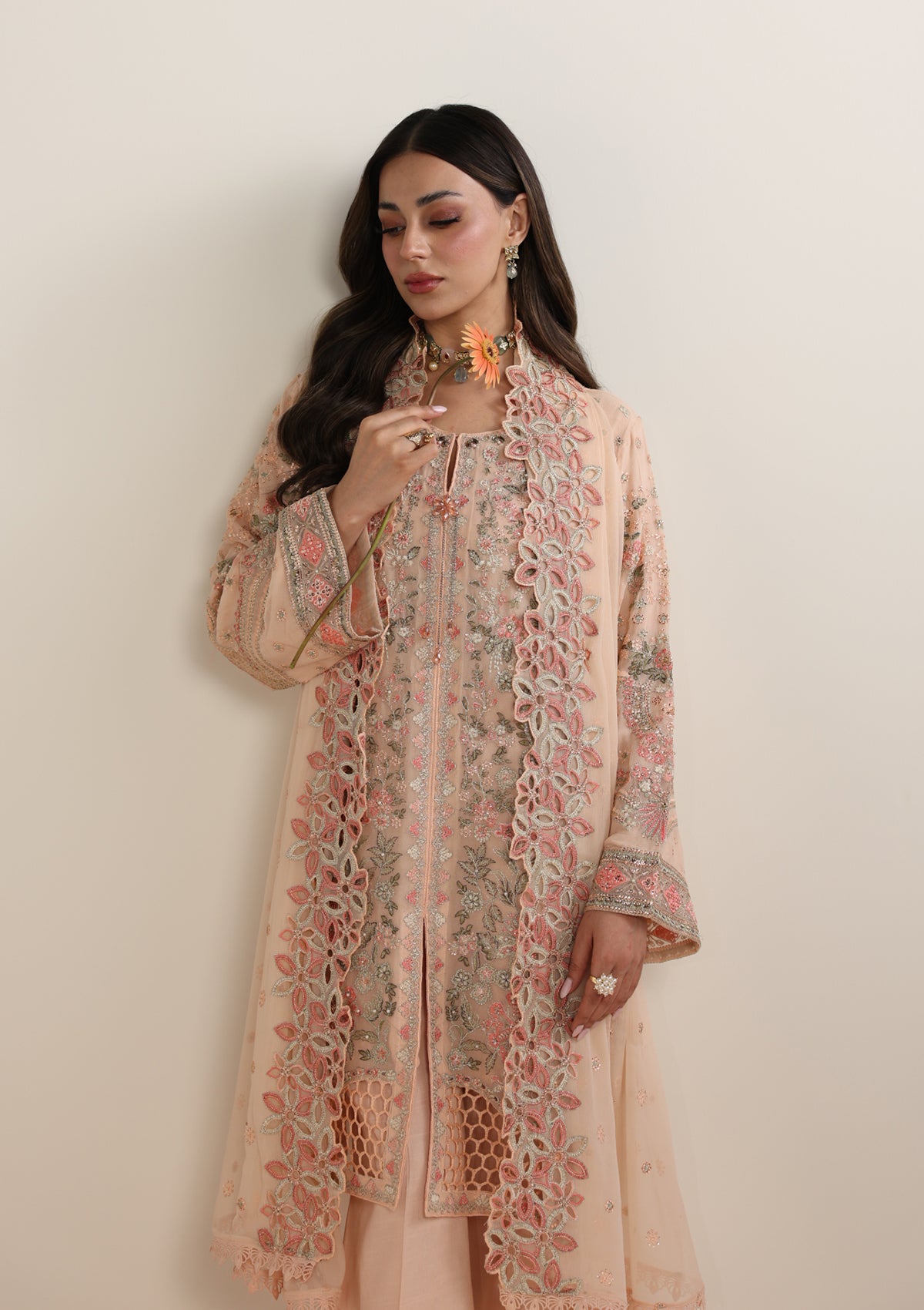 Embroidered Chiffon BT006678-PCH