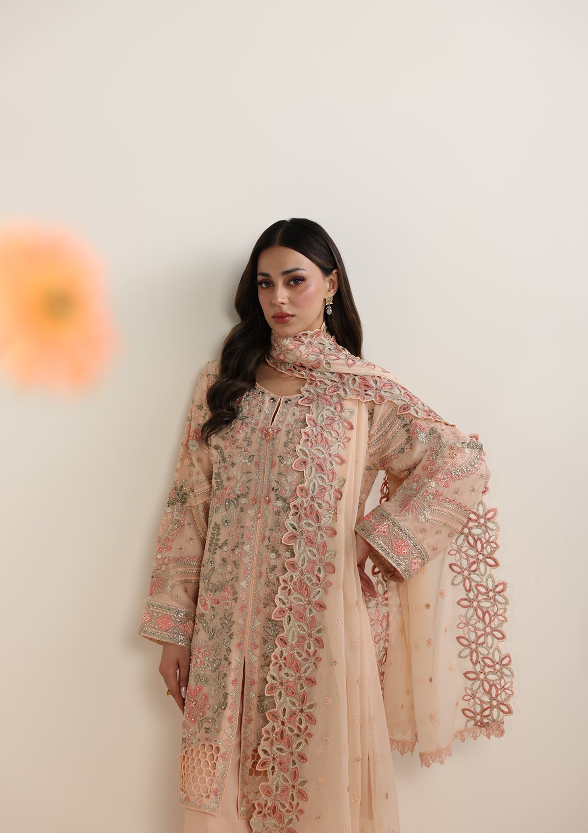 Embroidered Chiffon BT006678-PCH