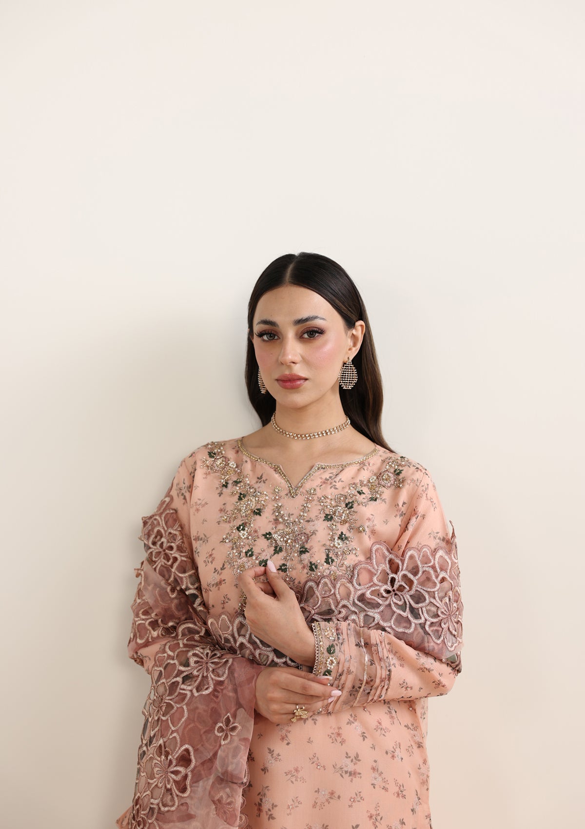 Embroidered Organza BT006675-PCH