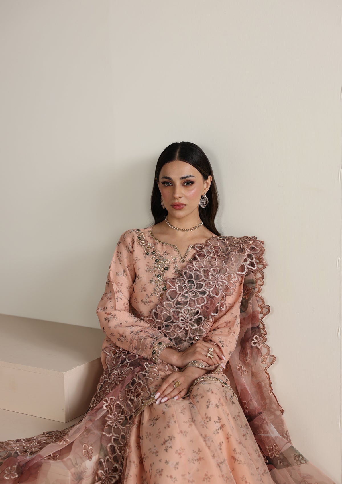 Embroidered Organza BT006675-PCH