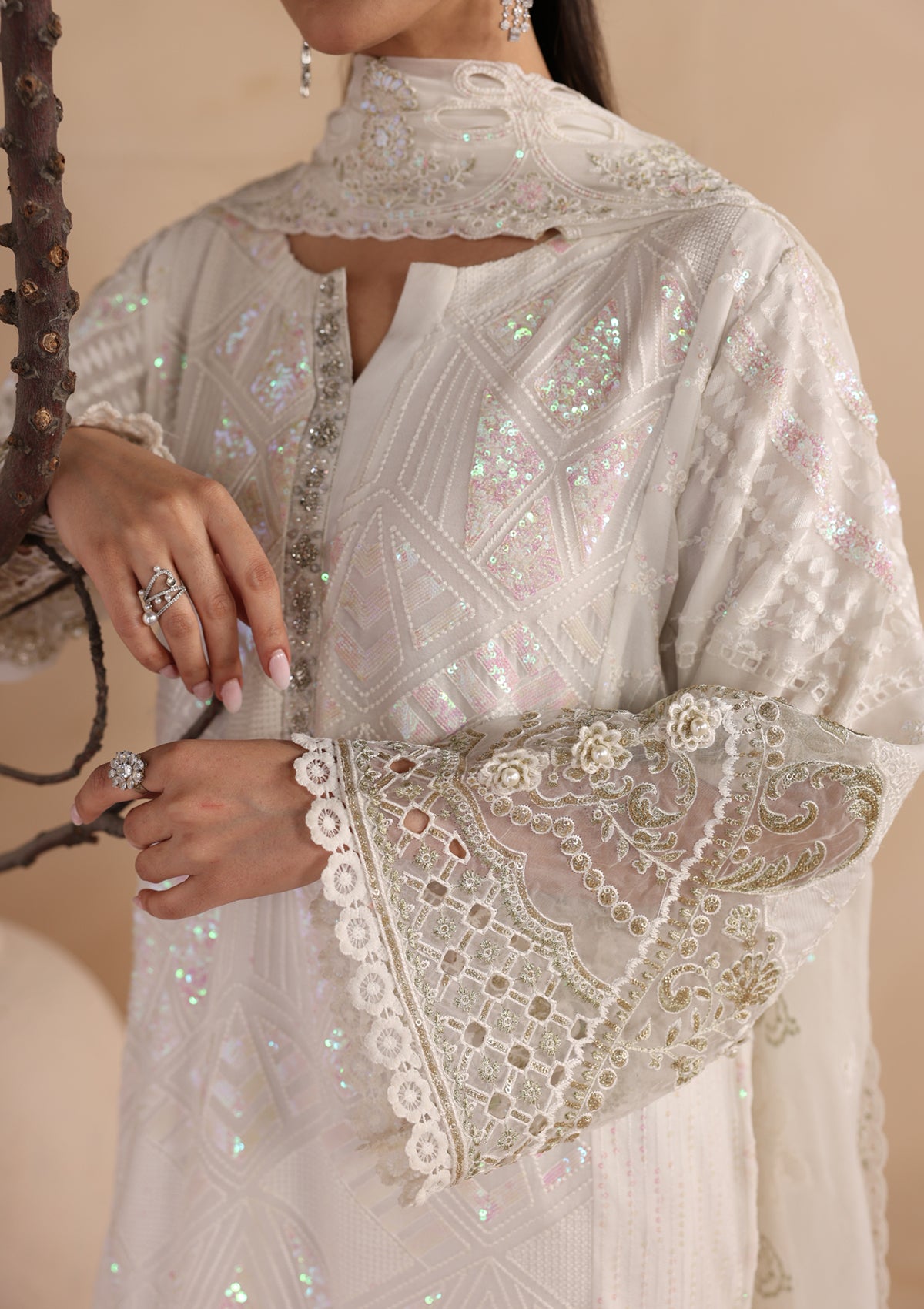 Embroidered Chiffon BT006679-WHI