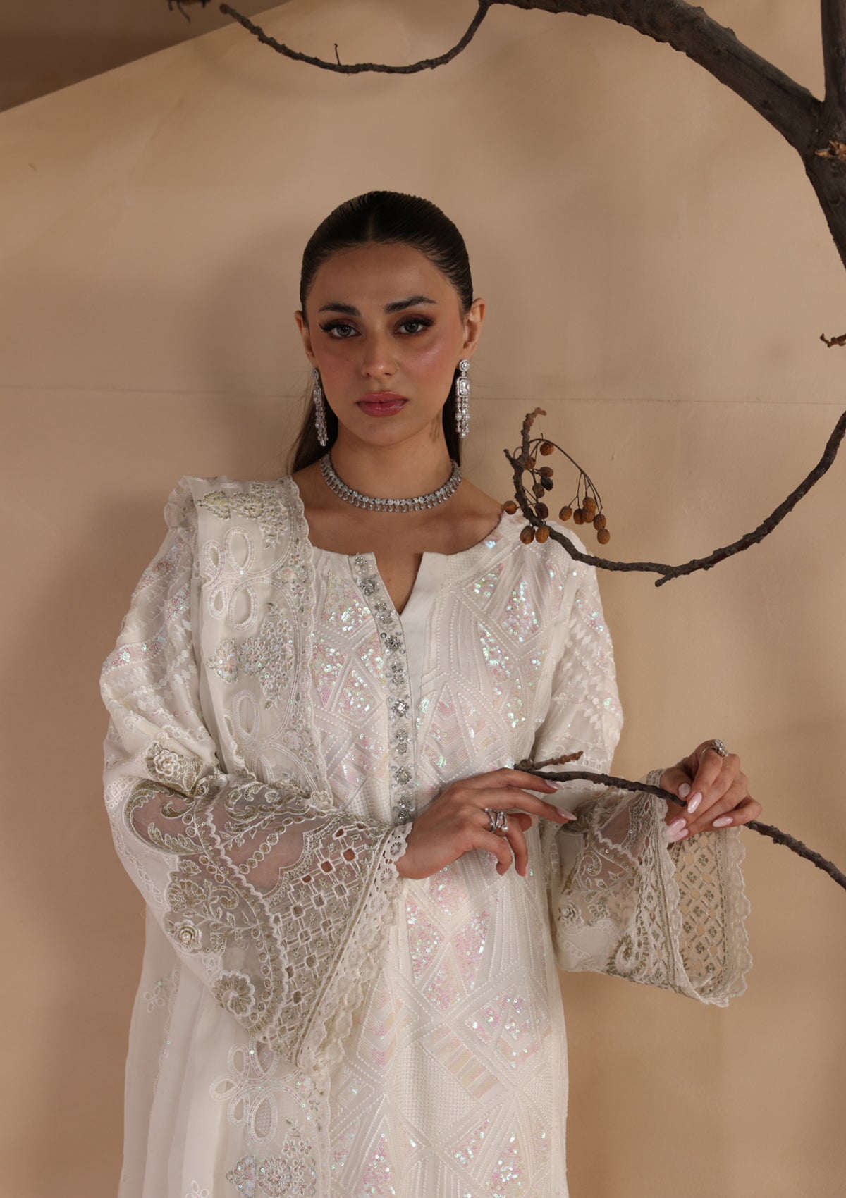 Embroidered Chiffon BT006679-WHI