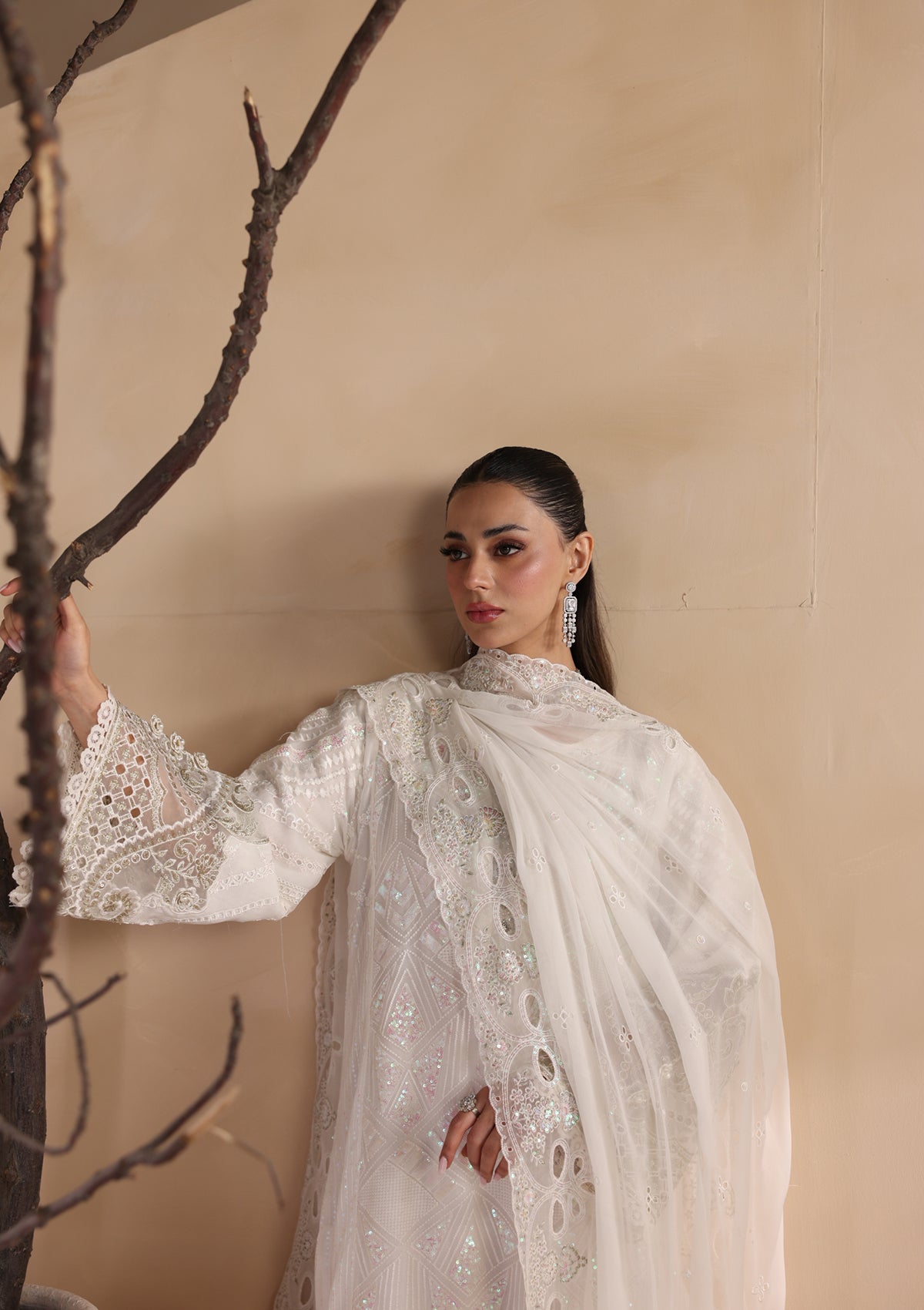 Embroidered Chiffon BT006679-WHI