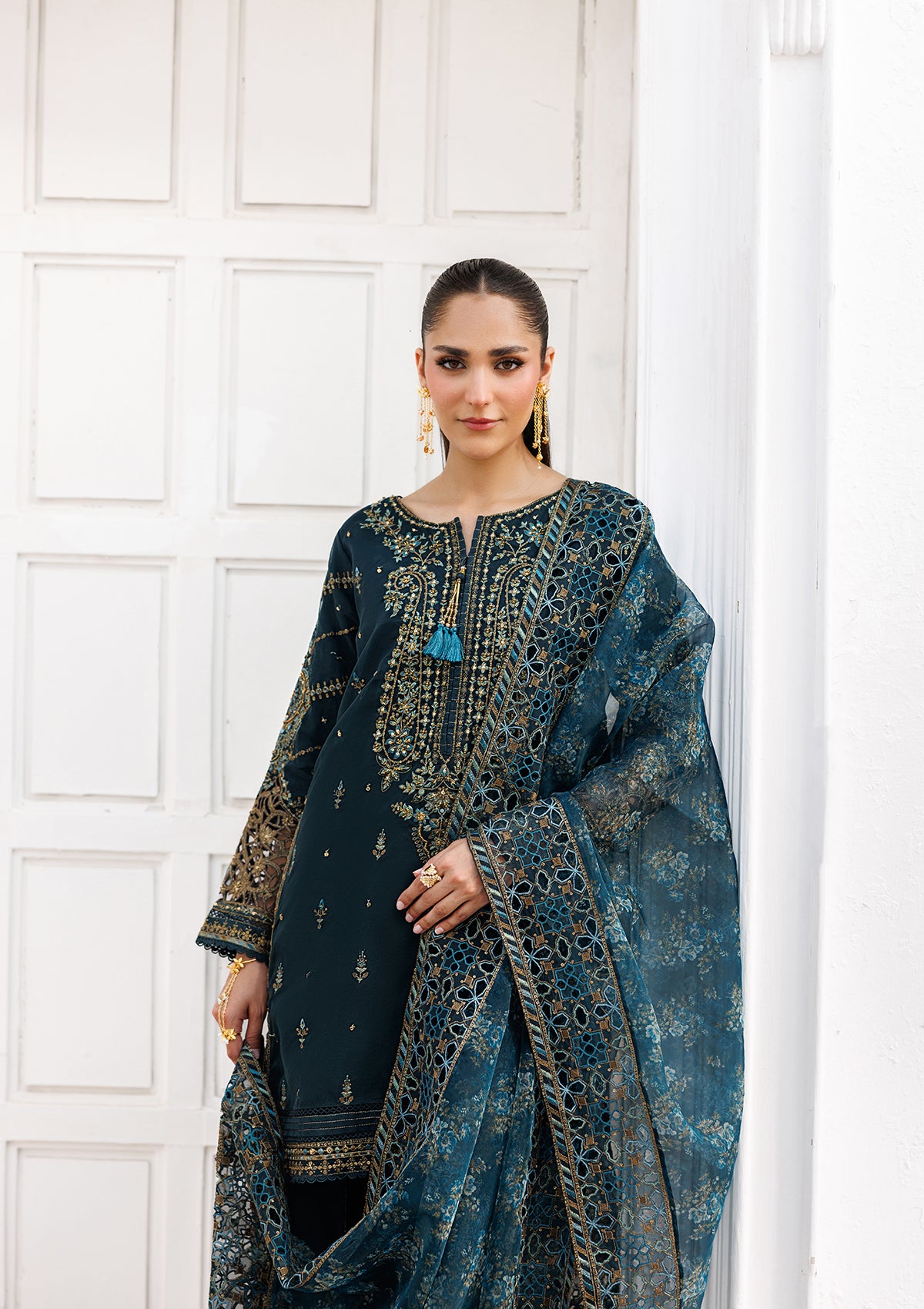 LUXURY Embroidered organza  BT006824-DPG