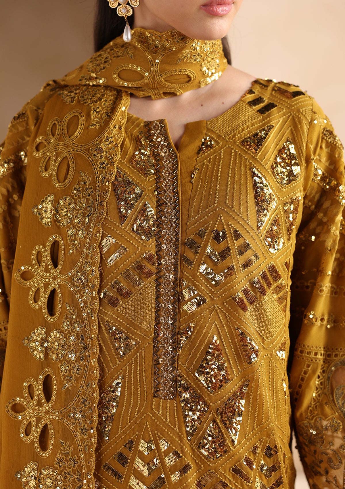 Embroidered Chiffon BT006679-MRD