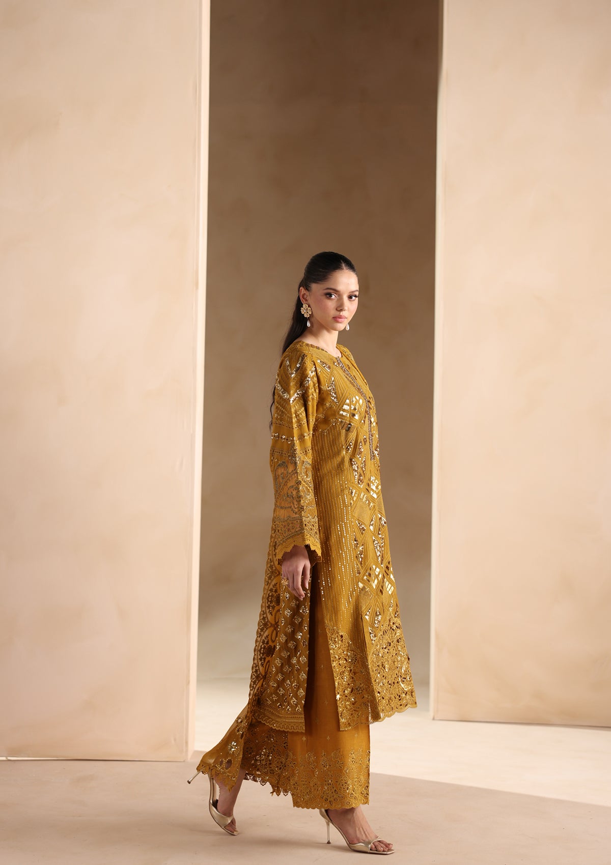 Embroidered Chiffon BT006679-MRD