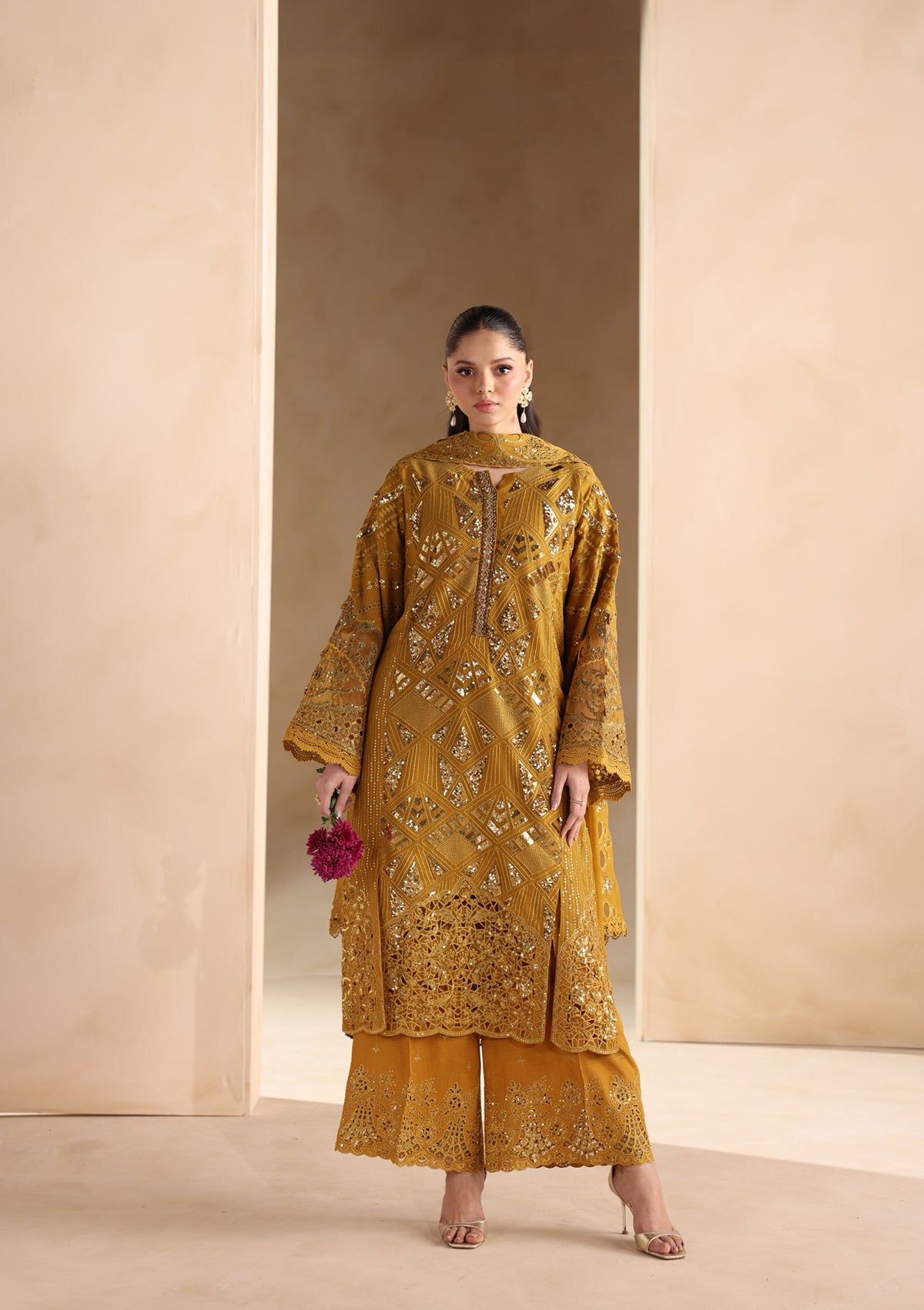 Embroidered Chiffon BT006679-MRD