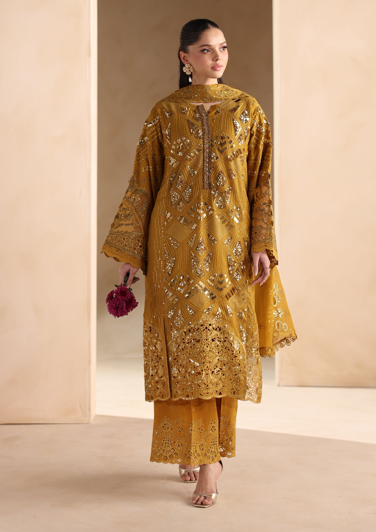 Embroidered Chiffon BT006679-MRD