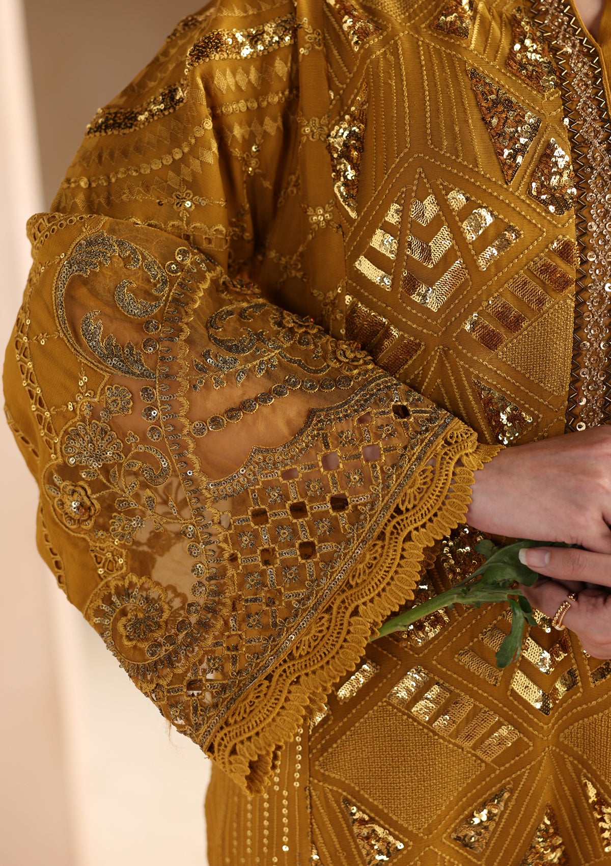 Embroidered Chiffon BT006679-MRD