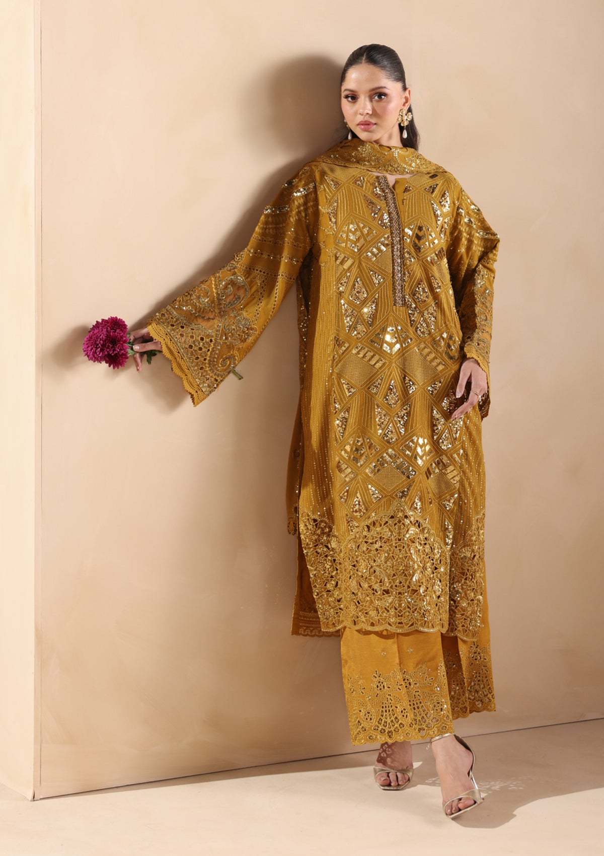 Embroidered Chiffon BT006679-MRD