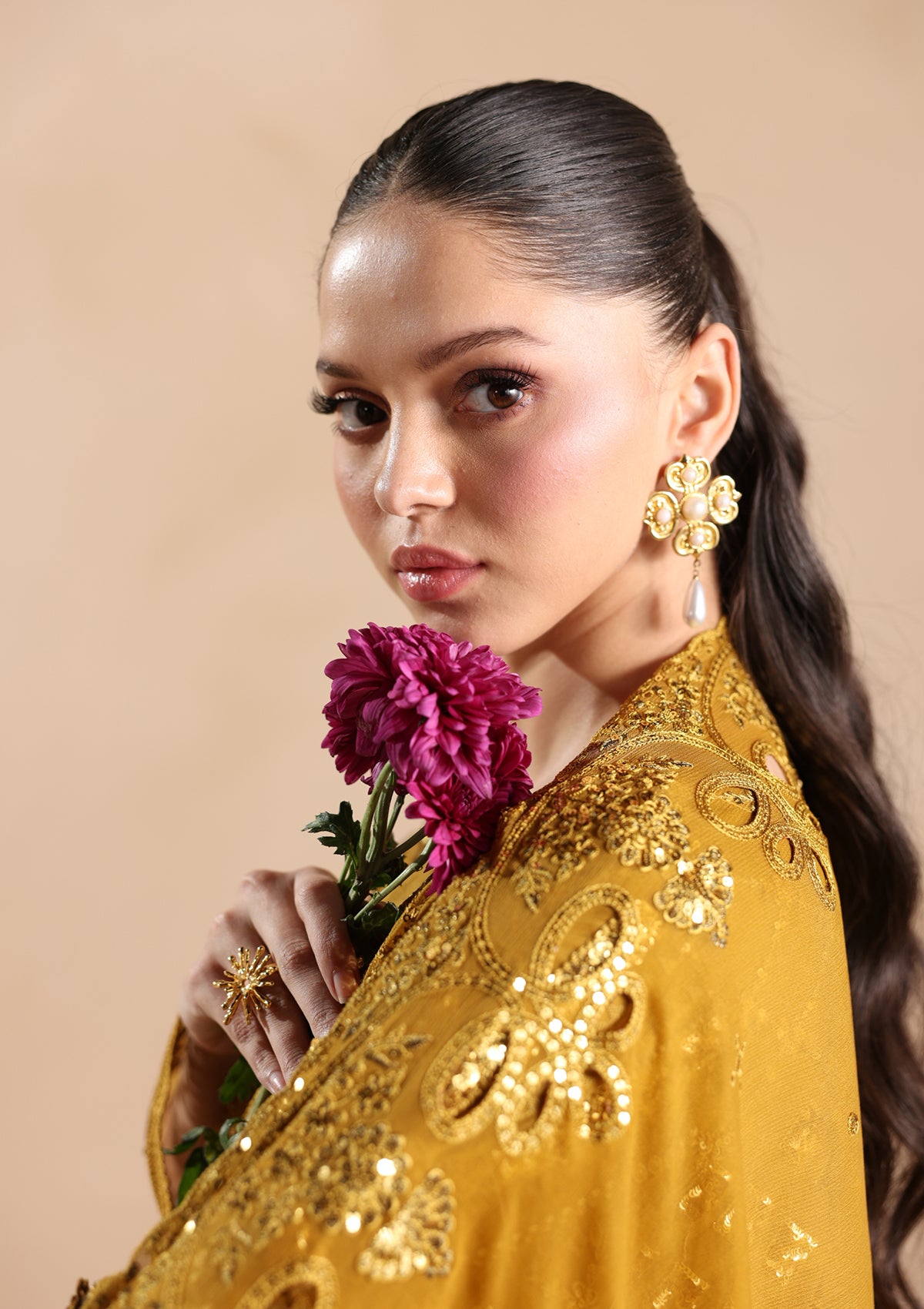 Embroidered Chiffon BT006679-MRD