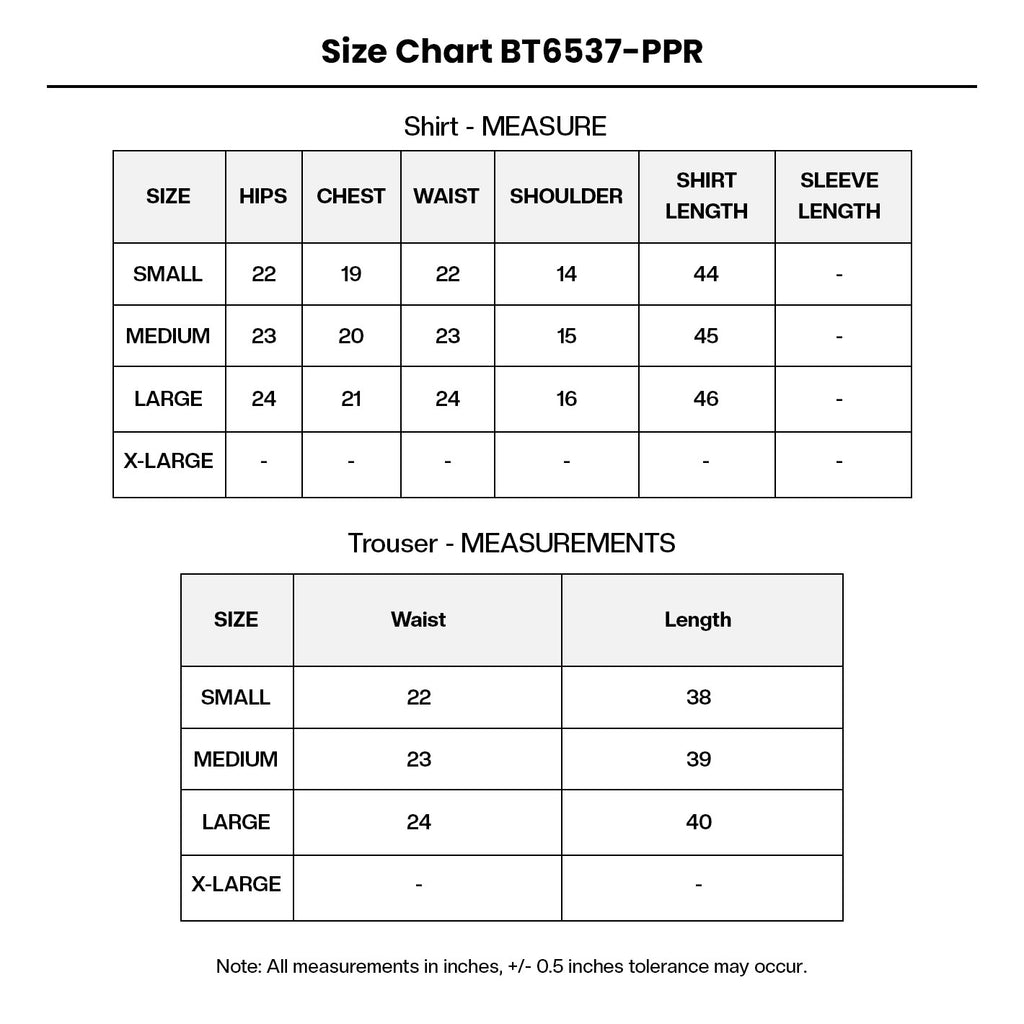 Embroidered Organza BT6537-PPR Size Chart