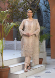 Formal 3 PCs Ready To Wear (BT006047-LBR)