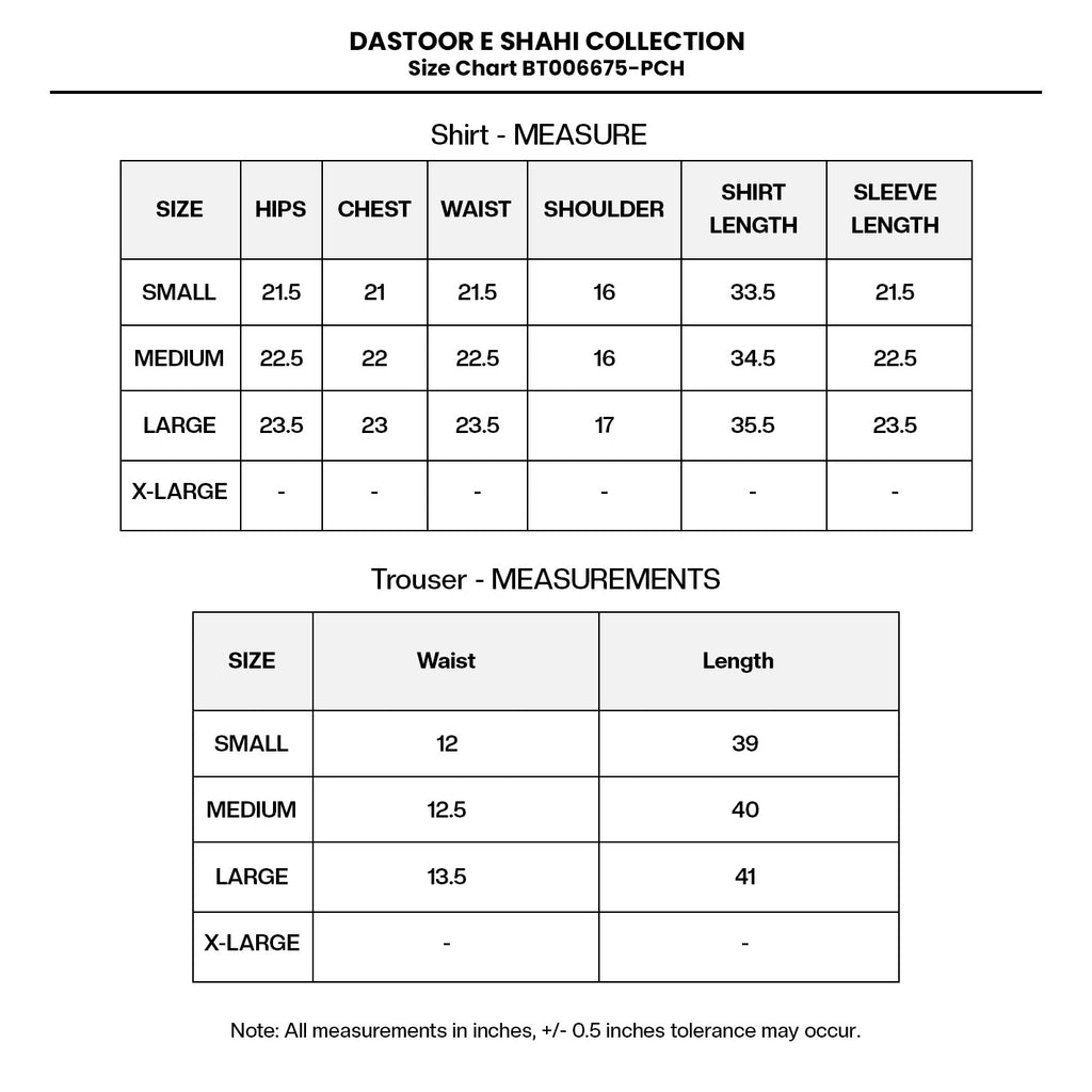 Embroidered Chiffon BT006678-PCH Size Chart