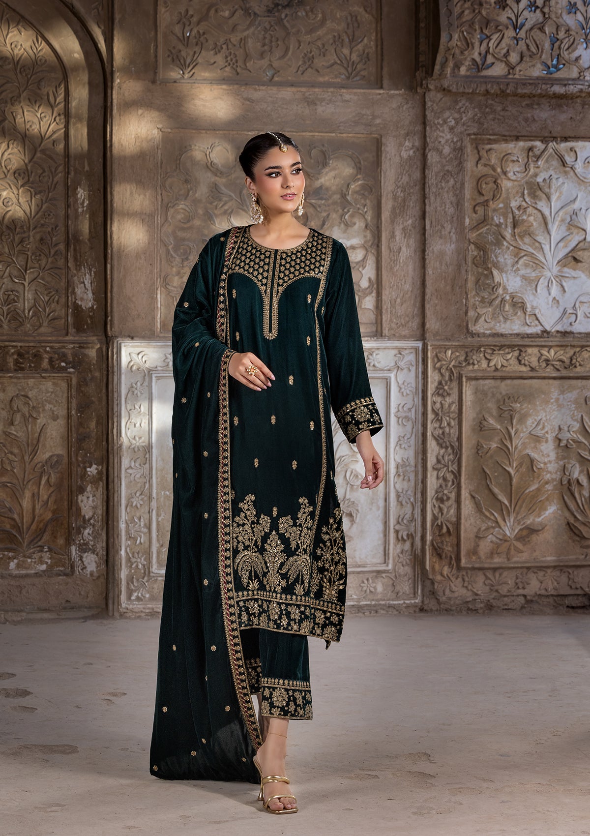 Embroidered Velvet BT6529-CGN