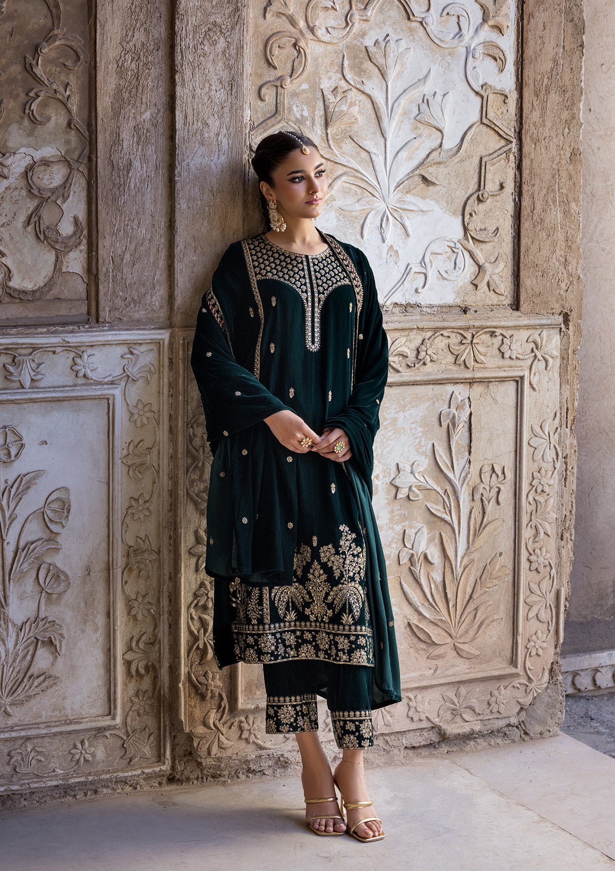 Embroidered Velvet BT6529-CGN