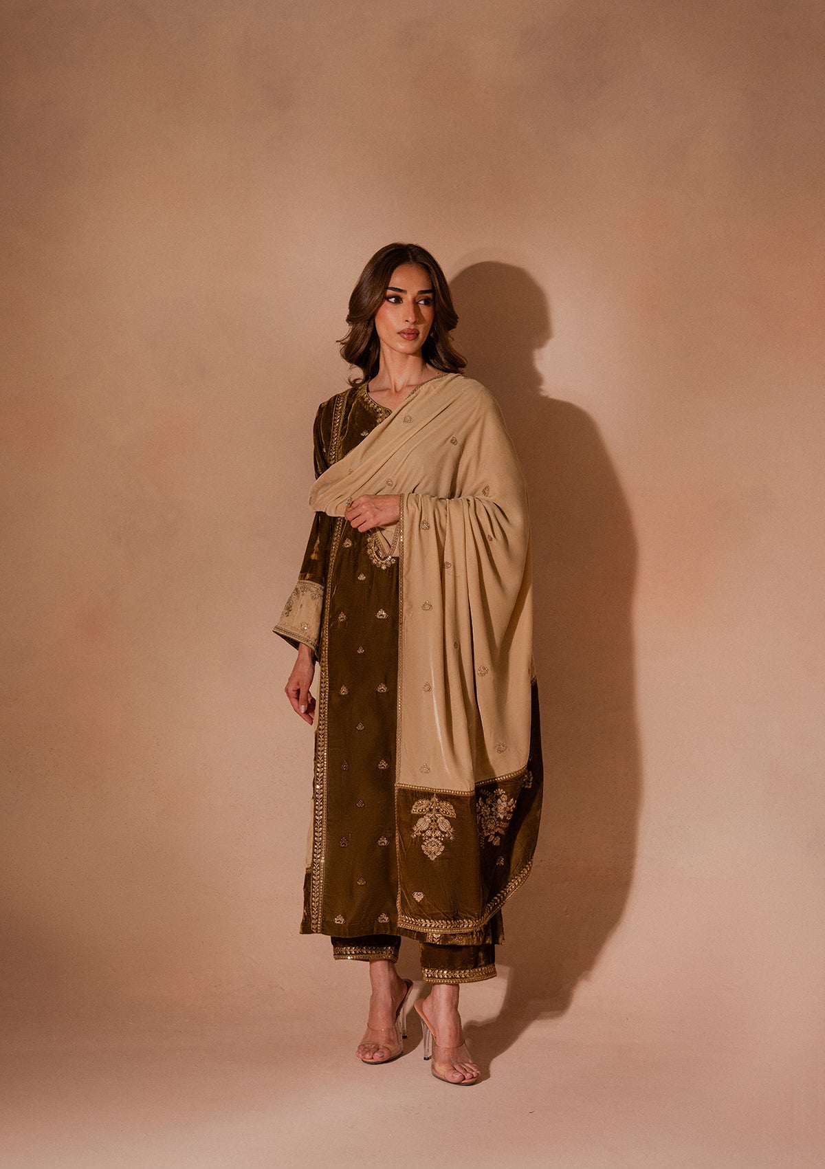 Embroidered Velvet BT007025-BRW