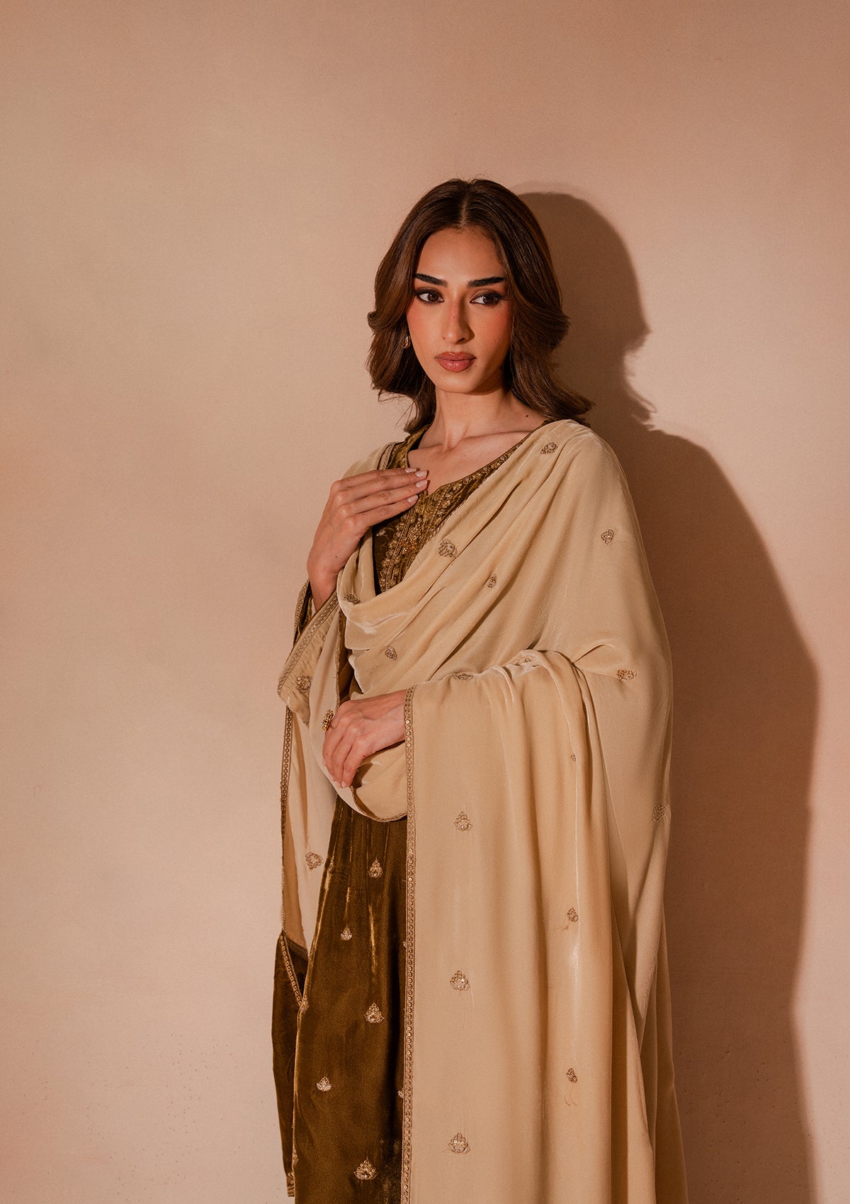Embroidered Velvet BT007025-BRW