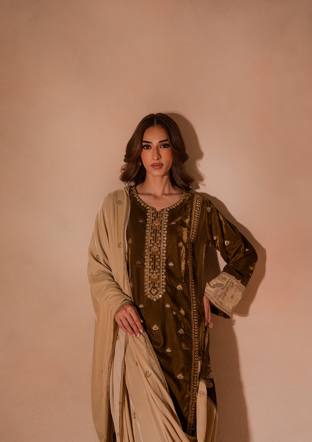 Embroidered Velvet BT007025-BRW
