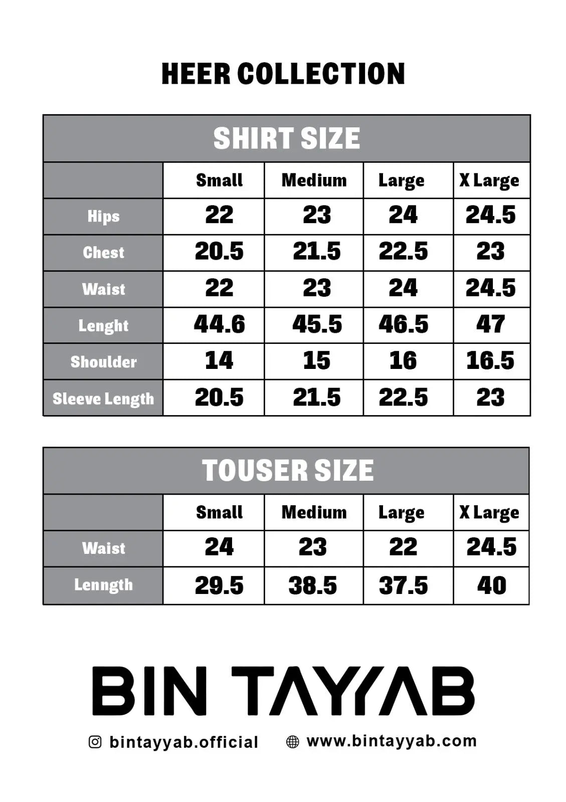 Embroidered Net BT6487-SKN Bin Tayyab